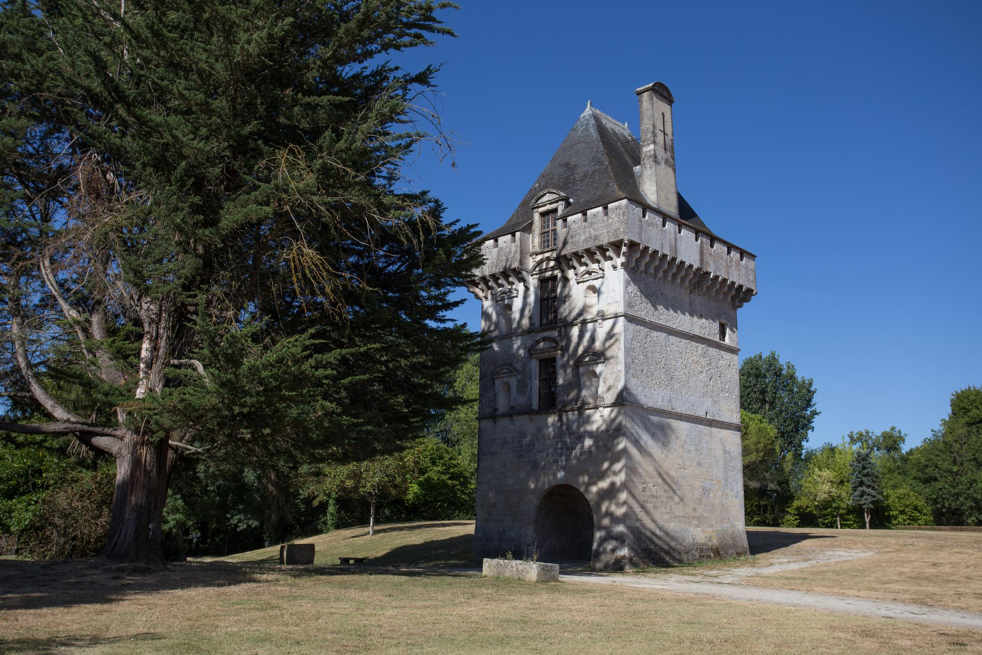 Photo de la vue du château